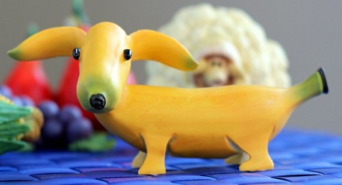 bananna dog