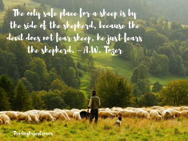 The only safe place for a sheep is by the side of the shepherd, because the devil does not fear sheep, he just fears the shepherd. – A.W. Tozer