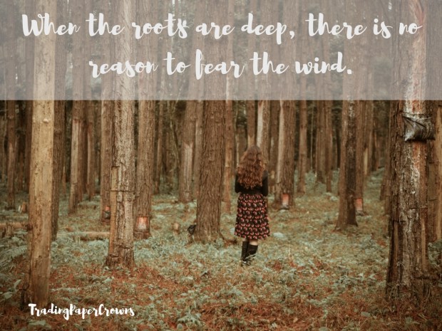 When the roots are deep, there is no reason to fear the wind.